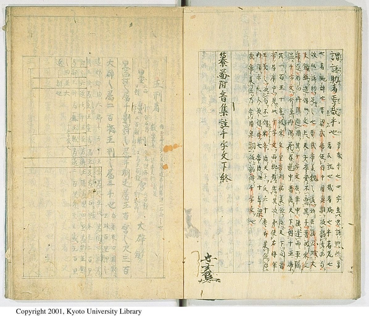 画像全面